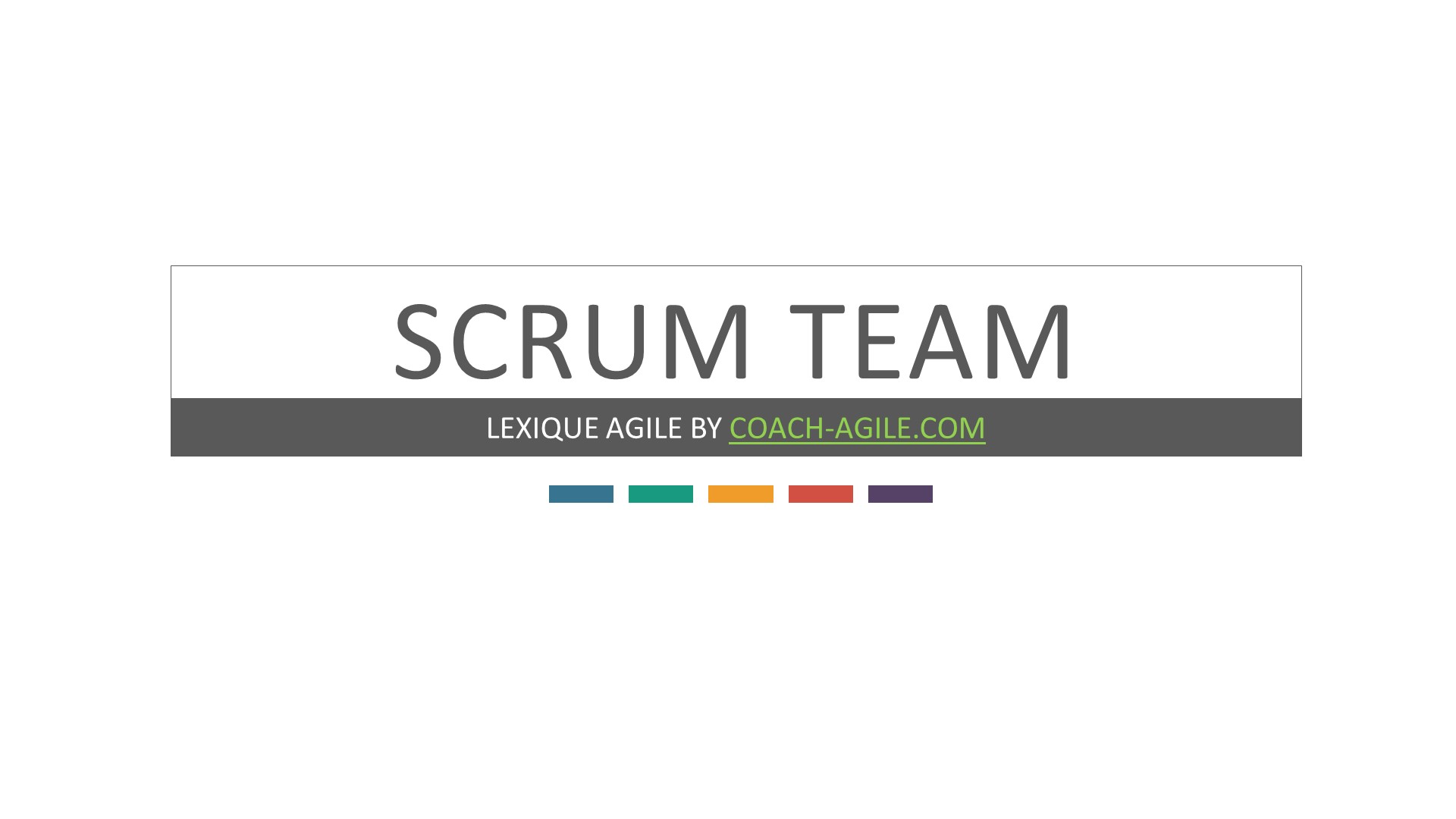 SCRUM TEAM