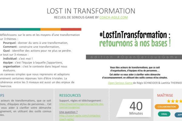 SERIOUS GAME : LOST IN TRANSFORMATION